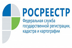 Электронные услуги Росреестра – это просто, надежно и выгодно