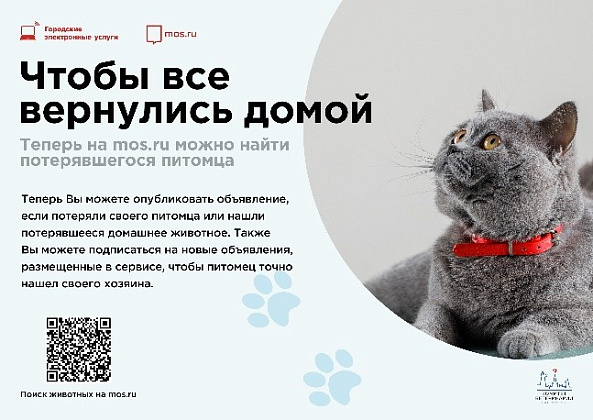БЕШЕНСТВО – особо опасная заразная болезнь теплокровных животных всех видов и человека, характеризующаяся поражением центральной нервной системы. Инкубационный период болезни составляет от 14 до 60 календарных дней...
