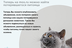 Чтобы все вернулись домой
