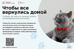 БЕШЕНСТВО – особо опасная заразная болезнь теплокровных животных всех видов и человека, характеризующаяся поражением центральной нервной системы. Инкубационный период болезни составляет от 14 до 60 календарных дней...