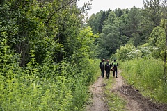 Не попадите в лесную ловушку