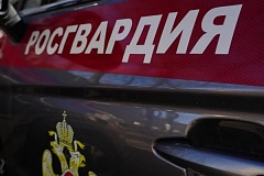 Кража из интереса