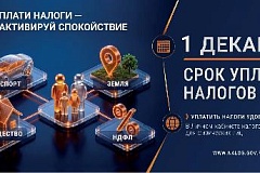Как получить и оплатить налоговое уведомление через ЕПГУ