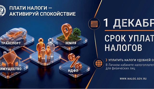 До 1 декабря срок уплаты налогов